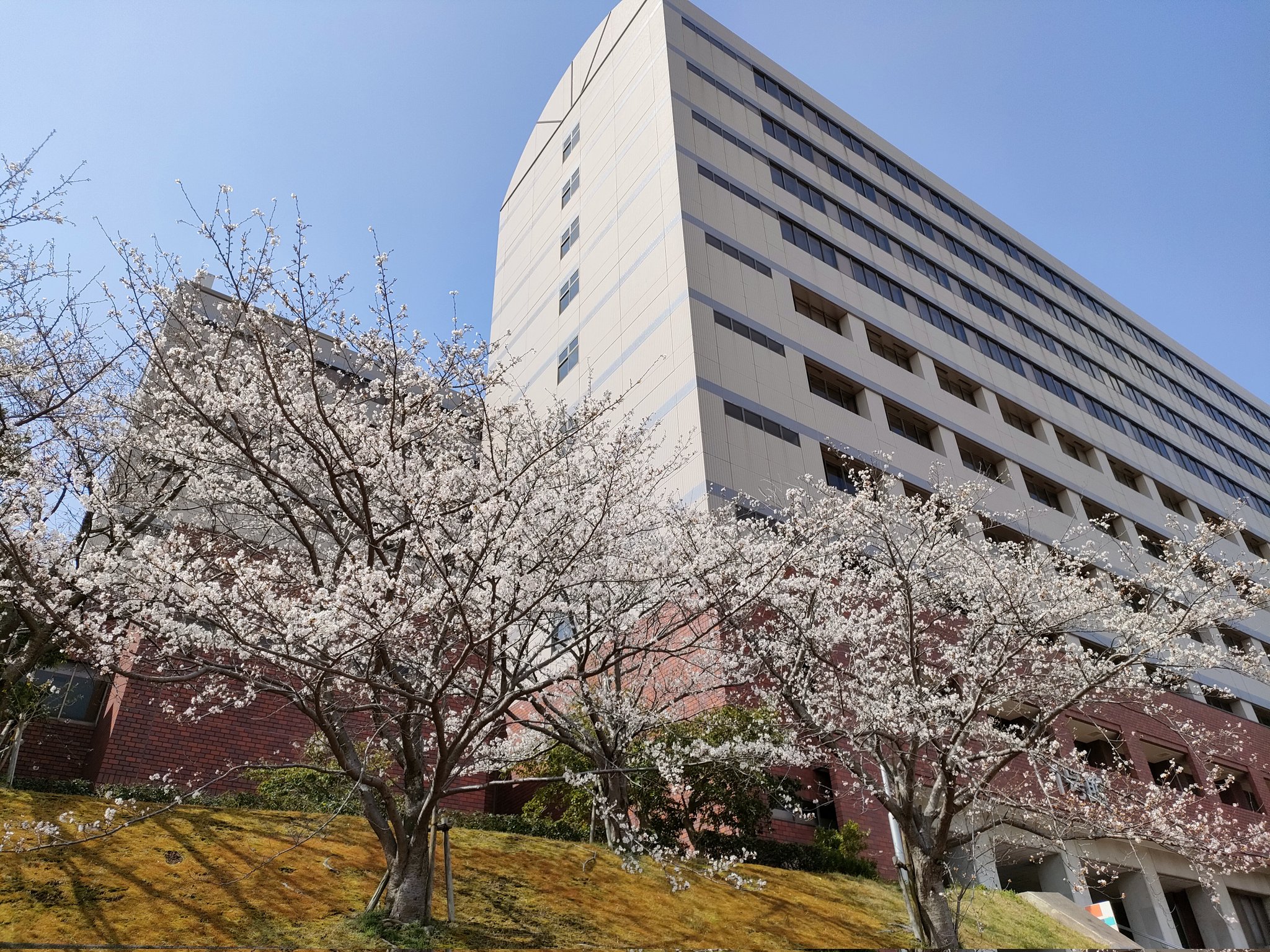 九州産業大学 理工学部 情報科学科 (@KSU_RS) / X 九州産業大学 理工学部 情報科学科 (@KSU_RS) / X