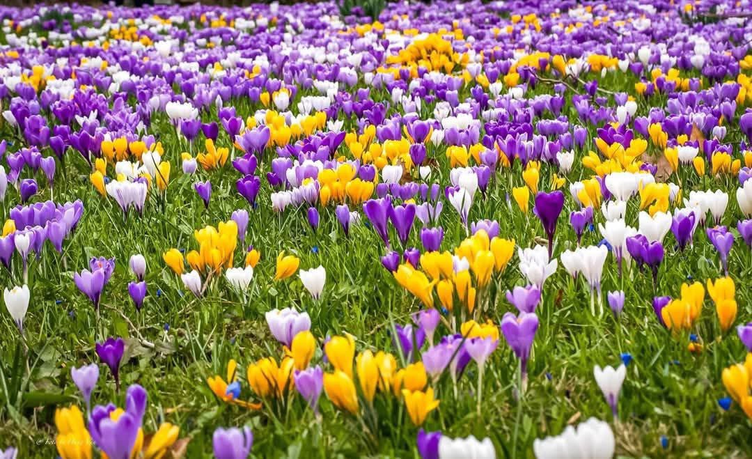 Өглөөний мэндээ☀️☀️☀️