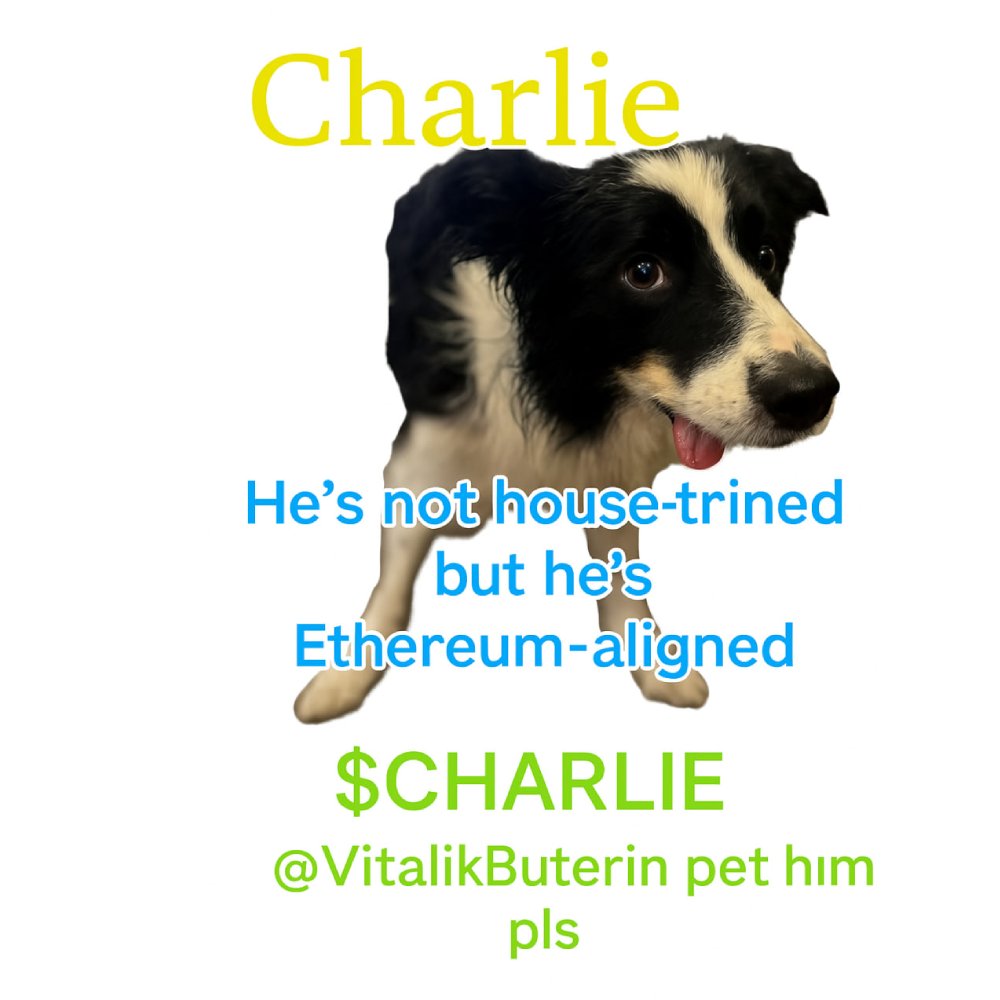 He’s not house trained,   but he’s Ethereum-aligned.   <a href="/VitalikButerin/">vitalik.eth</a> pet him pls