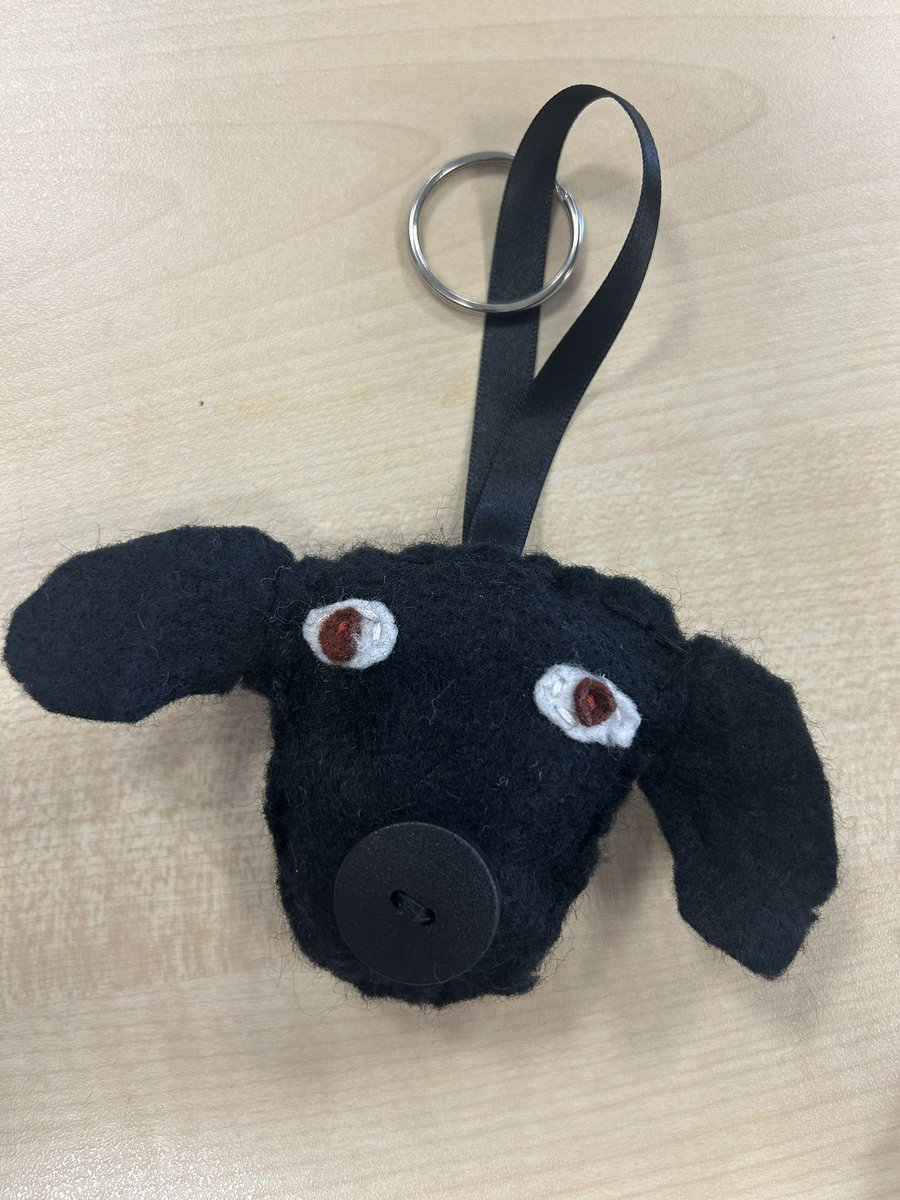 Fab keyring designed and made by S1 pupil in <a href="/HeMillburn/">MillburnHE</a> 🪡🧵