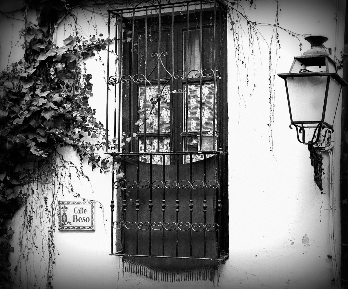 reverso y espejo del poema
vislumbresdeeldorado.blogspot.com/2025/03/revers…