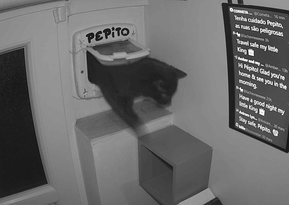 Pépito is back home (21:01:09)