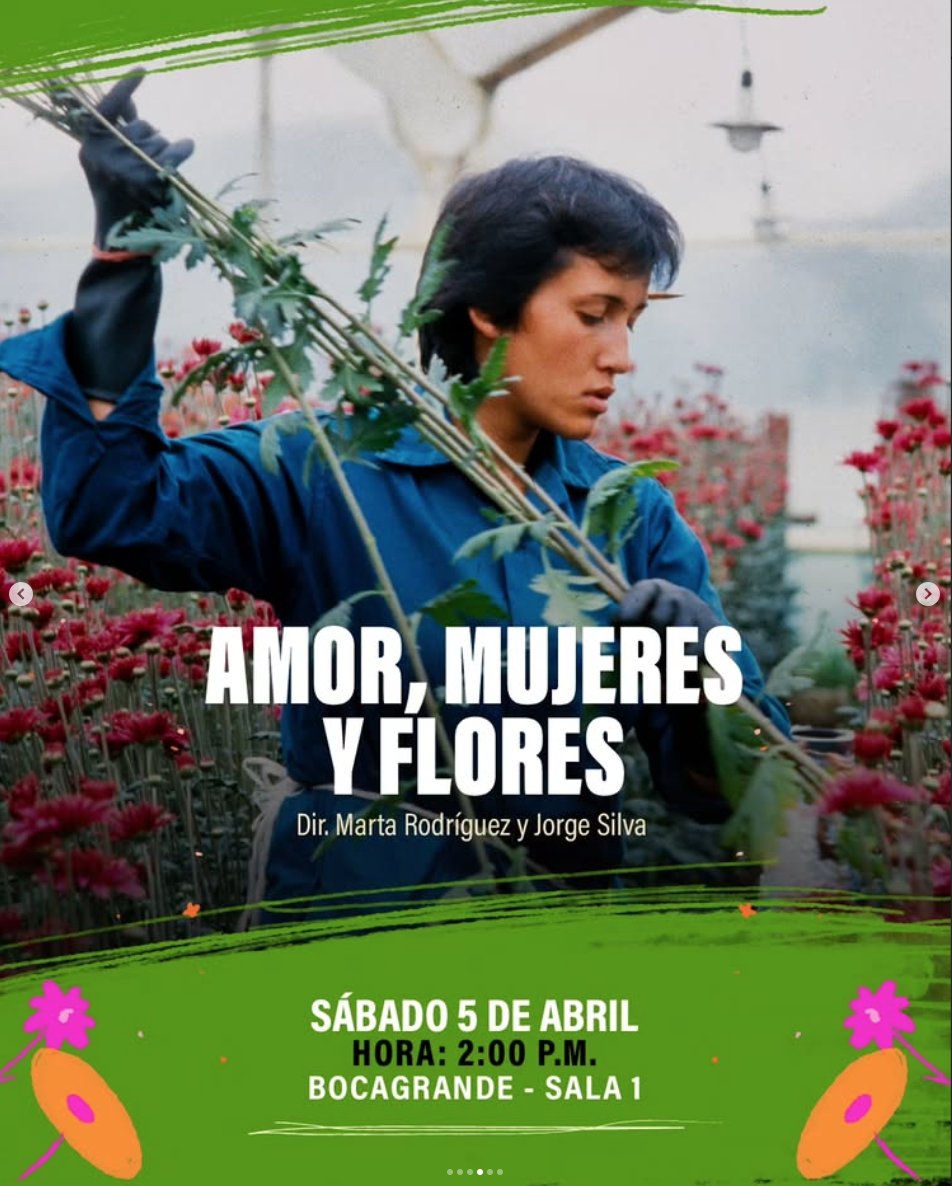 Marta Rodríguez tweet media