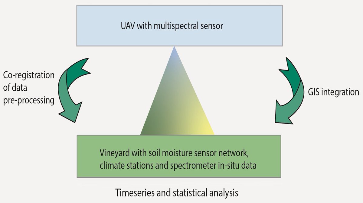 RemoteSens_MDPI's tweet image. 🍇🍇 Time Series Analysis of #Multisensor Data for #Precision #Viticulture—Assessing Microscale Variations in Plant Development with Respect to #Irrigation and #Topography
✍️ Melanie Brandmeier et al.
🔗 brnw.ch/21wRHma