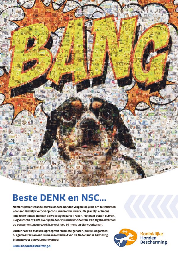 De NSC-fractie bepaalt morgen of de partij het plan voor een landelijk vuurwerkverbod steunt. Met die steun zou er een ruime kamermeerderheid voor het verbod zijn 😃

Als extra duwtje in de goede richting hebben we de kamerleden vanavond nog een keer ons stemadvies gemaild.