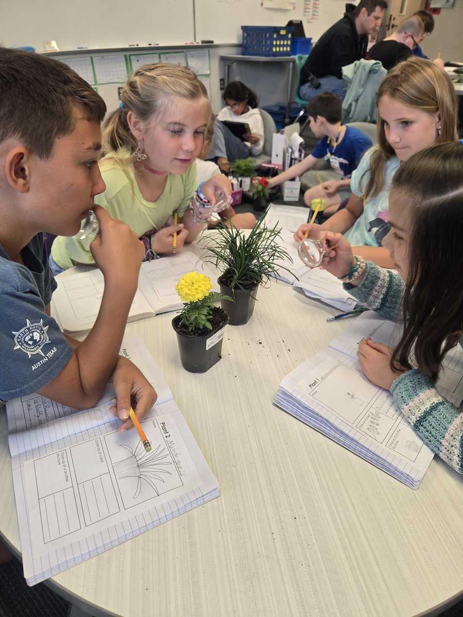Mrs. Lane (@mrslaneatford) on Twitter photo Comparing and contrasting the structures of plants today. #ohmystars <a href="/ElementaryFord/">FordElementary</a> <a href="/GeorgetownISD/">Georgetown ISD</a> Comparing and contrasting the structures of plants today. #ohmystars <a href="/ElementaryFord/">FordElementary</a> <a href="/GeorgetownISD/">Georgetown ISD</a>