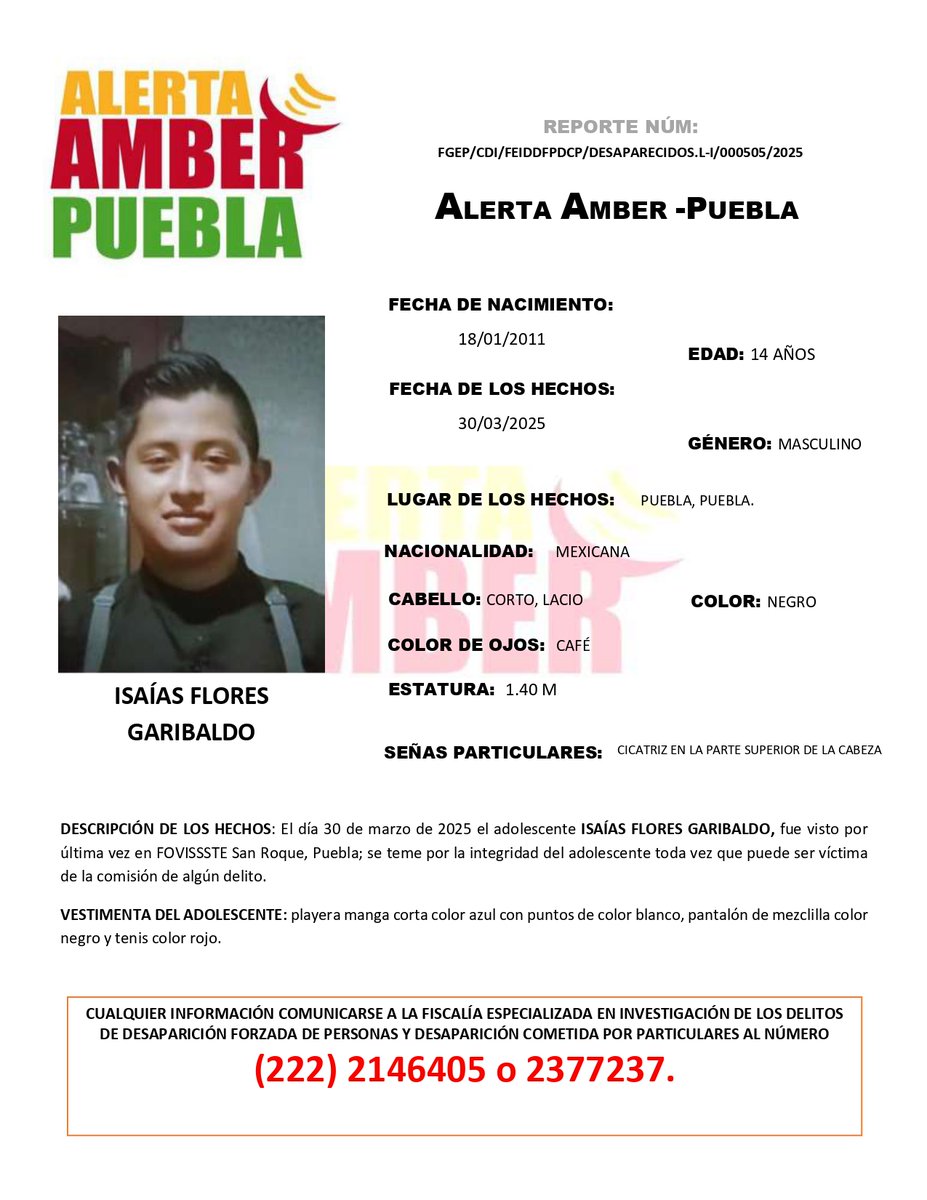 aamber_pue's tweet photo. #AlertaAmber | Solicitamos su apoyo para la búsqueda y localización del adolescente ISAÍAS FLORES GARIBALDO, de 14 años de edad.

Fue visto por última vez en el FOVISSSTE San Roque, Puebla. https://t.co/a7R9dfepu5