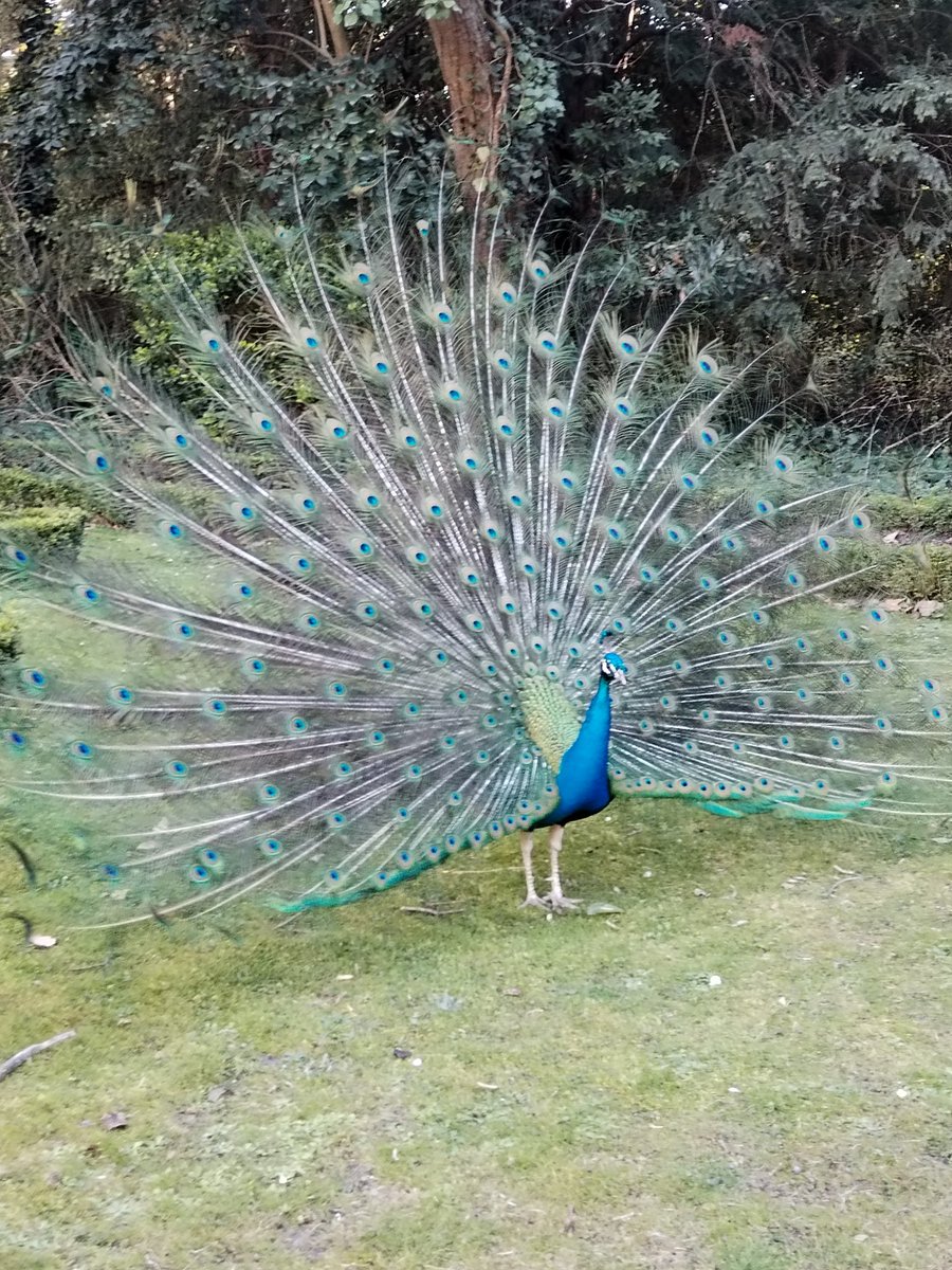 Maria de la O tweet media