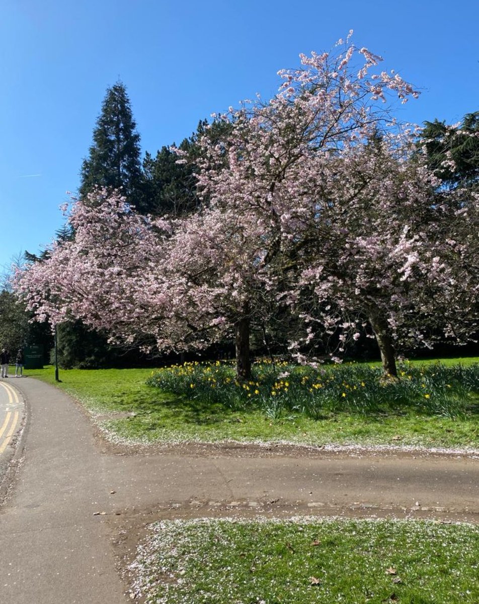 Spring.