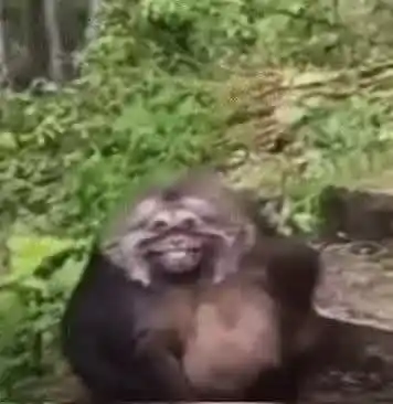 yaguitu 🌈 tweet media