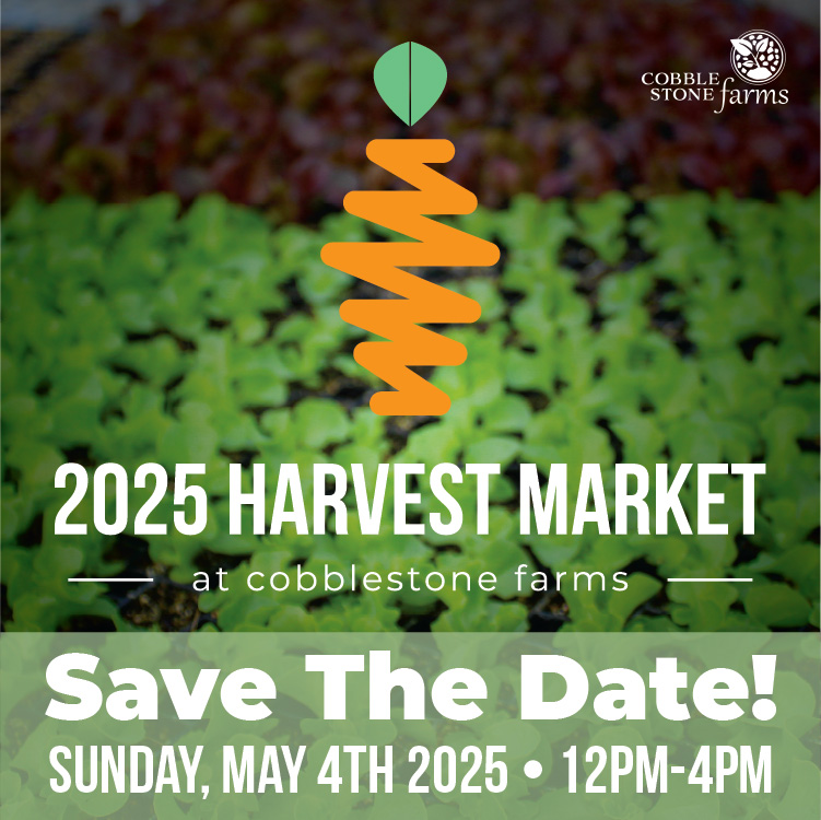 CobblestoneNWA's tweet photo. BIG NEWS! Our first-ever Cobblestone Harvest Market is happening Sunday, May 4th, from 12-4 PM!

Calling Local Vendors -
We’re looking for 10 unique, local vendors to join us! No entry fee, no catch - you keep 100% of your sales! If you're interested, DM for details https://t.co/ywC7DDmQbg