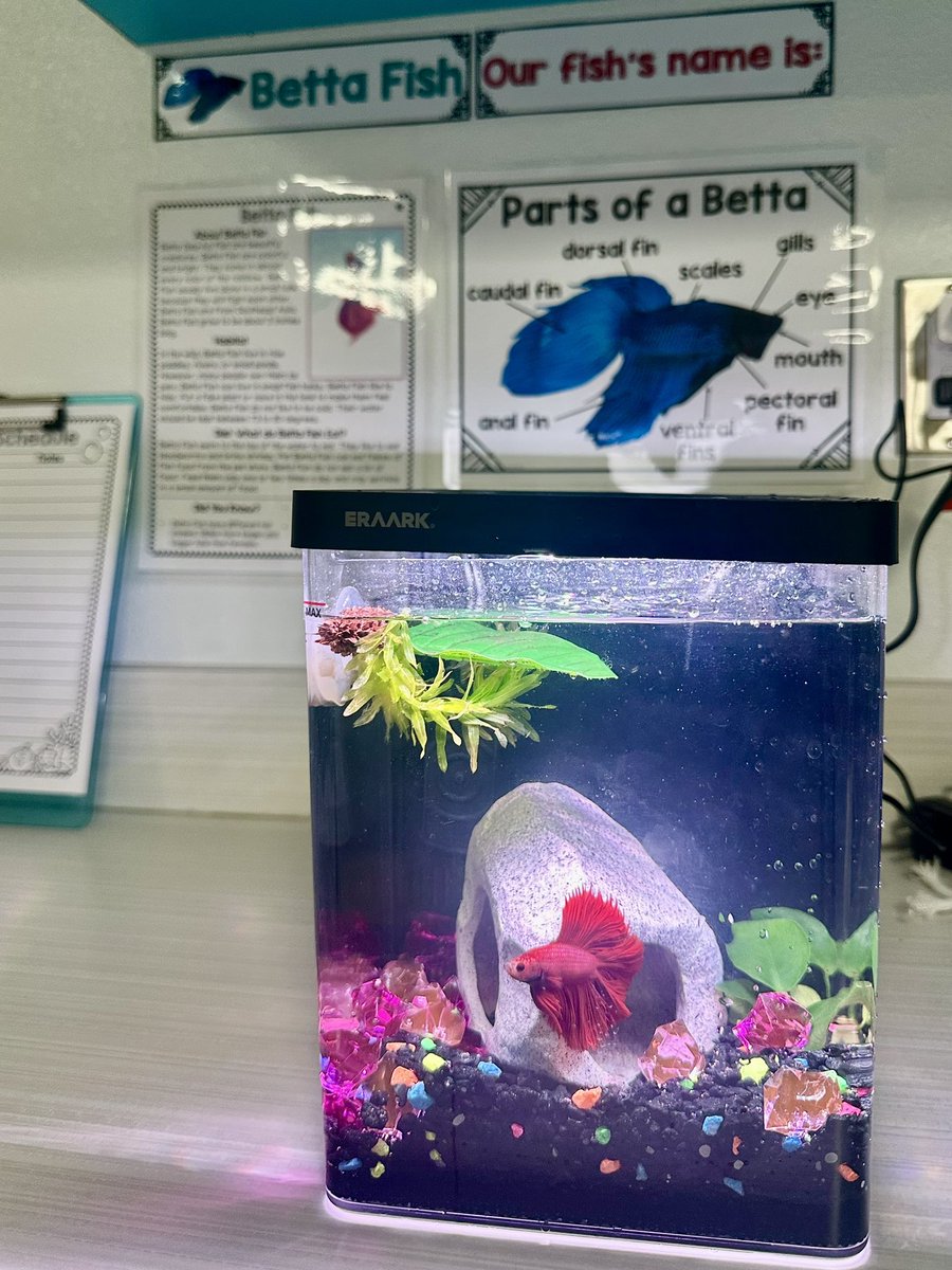 Victoria Renee Pantoja tweet media