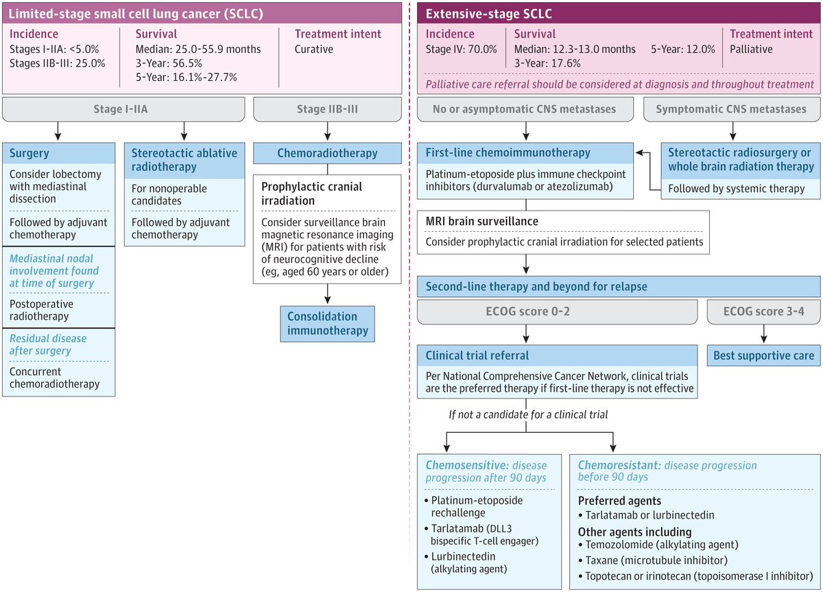 Small Cell Lung Cancer 

💥Excellent Review👇
 jamanetwork.com/journals/jama/…