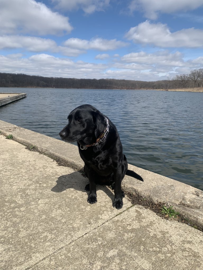 Random day off from school. Let’s see if some fish are lookin to bite! #MapleLake
🎣🐟