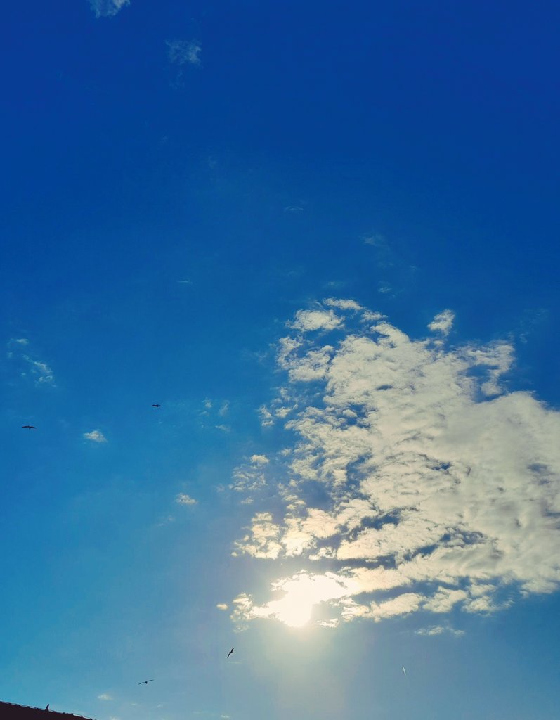 Dolce è guardare la bella
e aperta faccia del cielo,
una preghiera respirare
nel sorriso dischiuso
del firmamento blu.
L'occhio teso alla corsa lucente
d'una nube veleggiante,
come il passaggio
della lacrima di un angelo
quando cade per il chiaro etere
in silenzio.

J.Keats
#sky