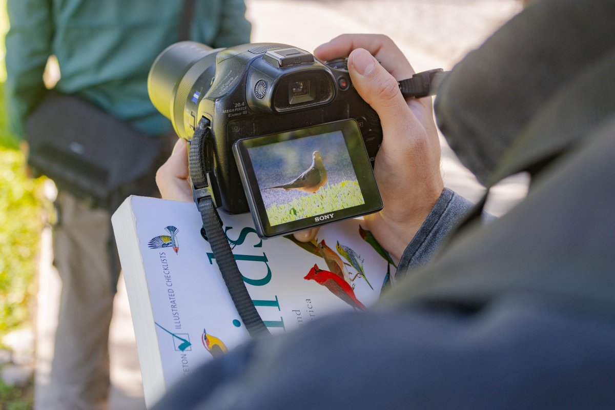 El pasado fin de semana recibimos a la organización Charas Sinaloa, un increíble grupo de observadores de aves, quienes exploraron nuestro campus en busca de una gran variedad de ejemplares
¡Gracias por compartir su pasión por la naturaleza con nuestra comunidad! 📷