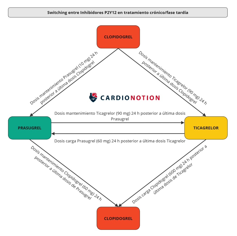 CardioNotion's tweet image. 🔄 Switch entre diferentes antiagregantes tras un síndrome coronario agudo

¿Cómo debemos hacerlo?

Te lo enseño en esta infografía 👇
➡️En Fase AGUDA 
➡️En Fase Tardía/Crónica

#CardioNotion #MedEd #ENARM #Cardiologia #medicina