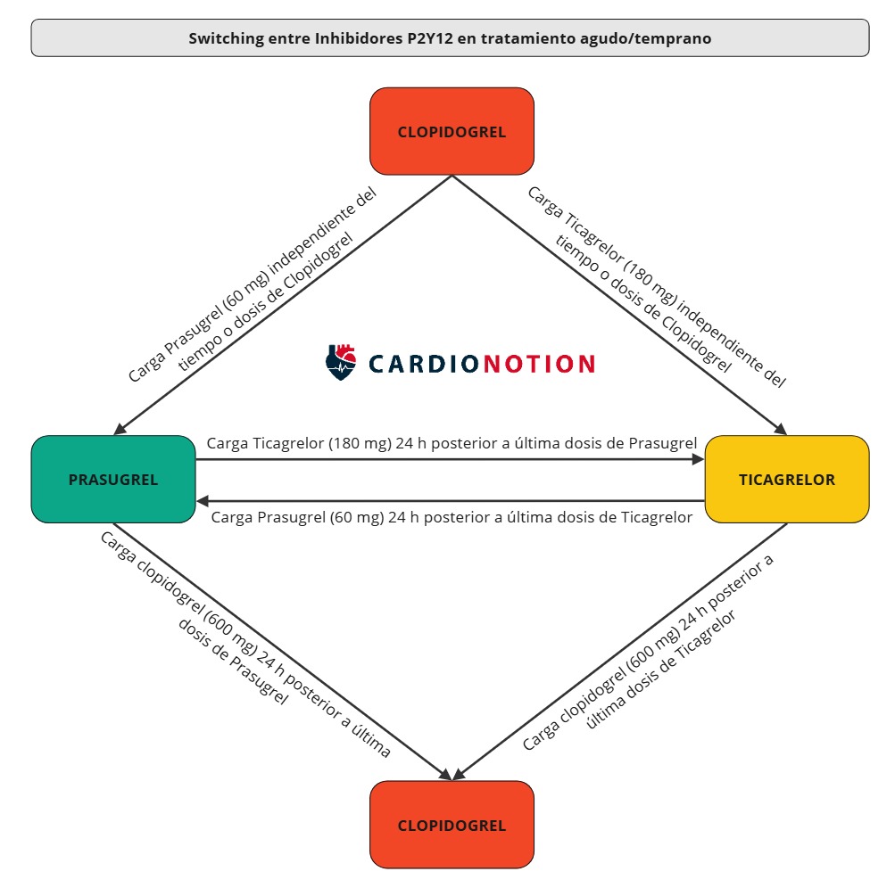 CardioNotion's tweet image. 🔄 Switch entre diferentes antiagregantes tras un síndrome coronario agudo

¿Cómo debemos hacerlo?

Te lo enseño en esta infografía 👇
➡️En Fase AGUDA 
➡️En Fase Tardía/Crónica

#CardioNotion #MedEd #ENARM #Cardiologia #medicina