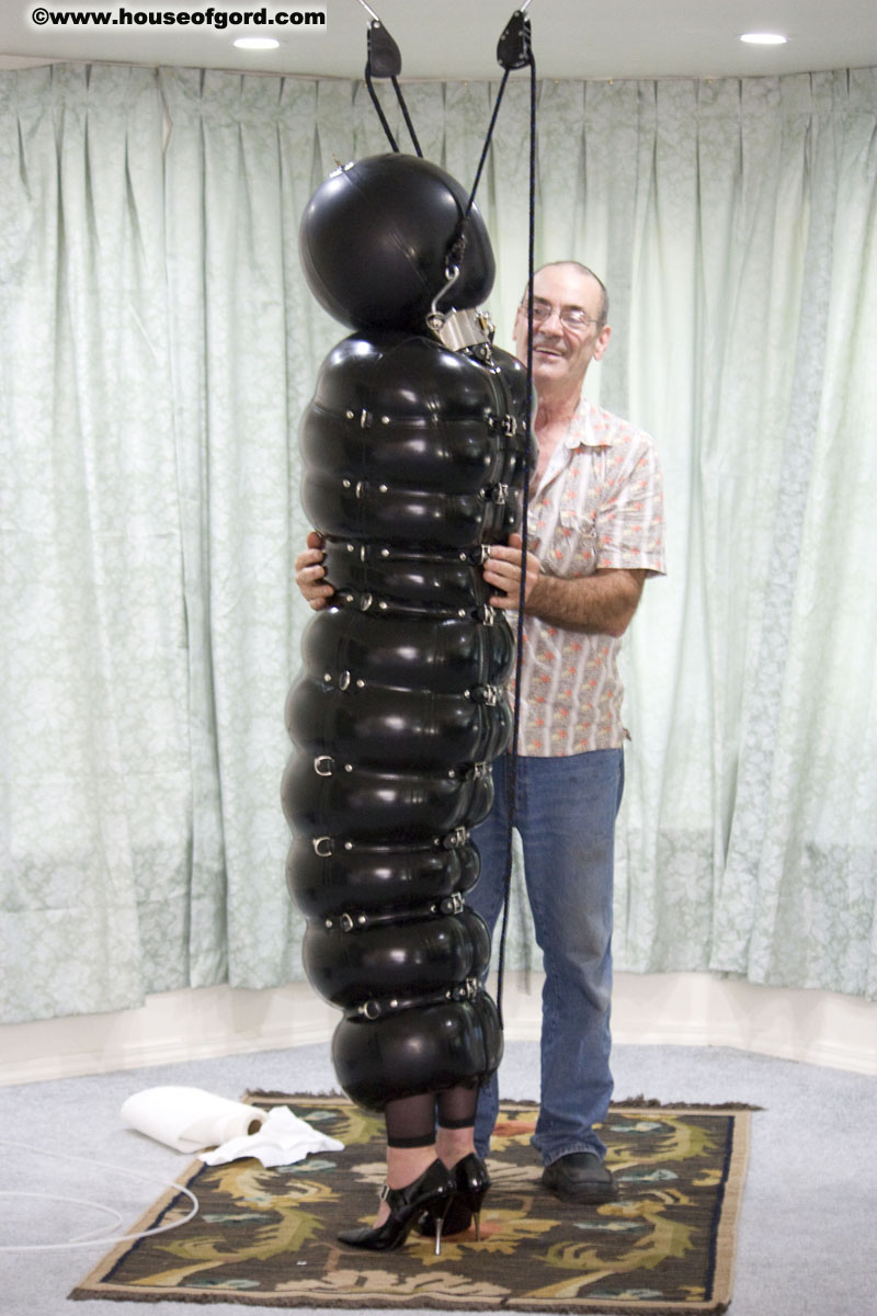 House of Gord (@HouseofGord)  X