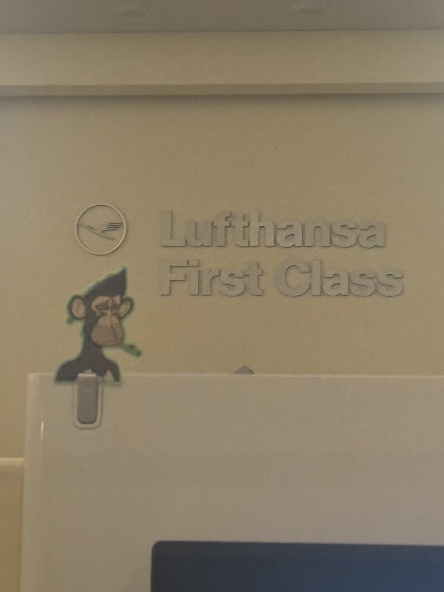 Ape on Tour
…always look on the bright side of life