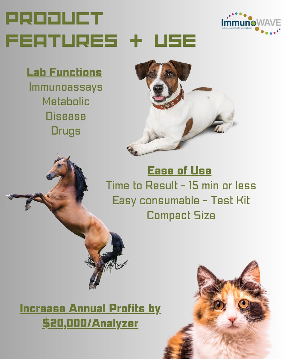 centerpoint_bio's tweet image. Unlock the power of precision with AlphaION Immuno Wave! Our advanced testing menu is designed to tackle even the most complex cases, providing your pet with the care they deserve.

#veterinarydiagnostics #vetmedicine #veterinarytech #animalcare #pethealth