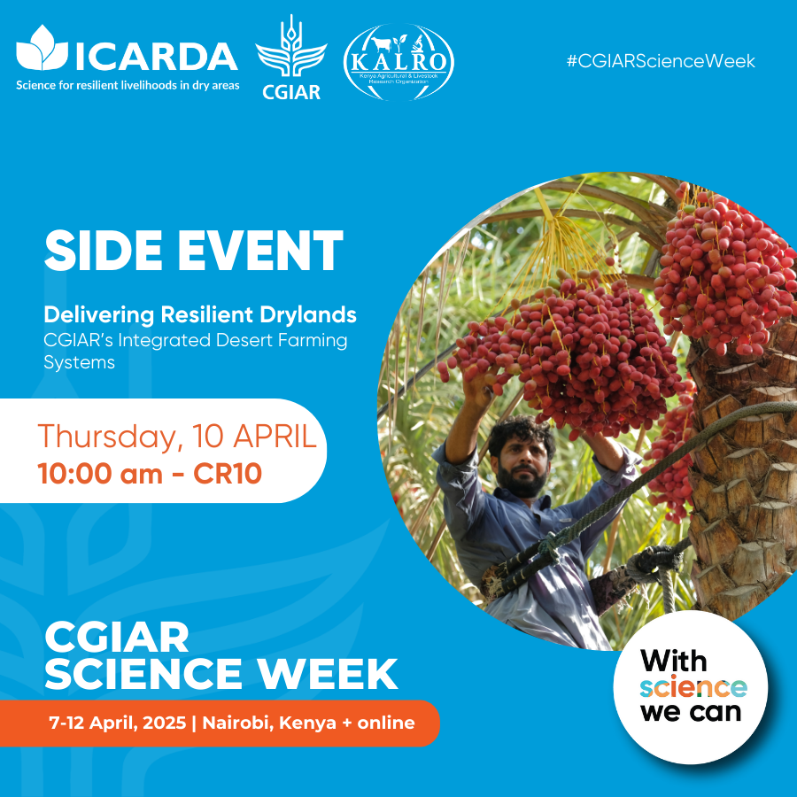 🌱 Don’t miss ICARDA’s session on Integrated Desert Farming Systems at the Delivering Resilient Drylands side event during #CGIARScienceWeek in Nairobi!

📢 Explore how <a href="/CGIAR/">CGIAR</a>’s global agri-research &amp; tech drive innovation &amp; scale solutions for food &amp; nutrition security in