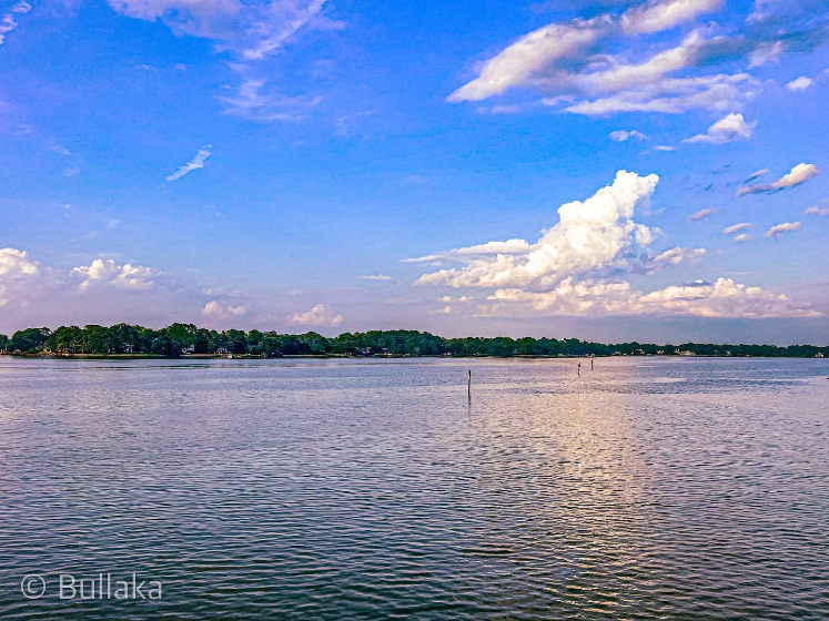 Elizabeth River Trail tweet media