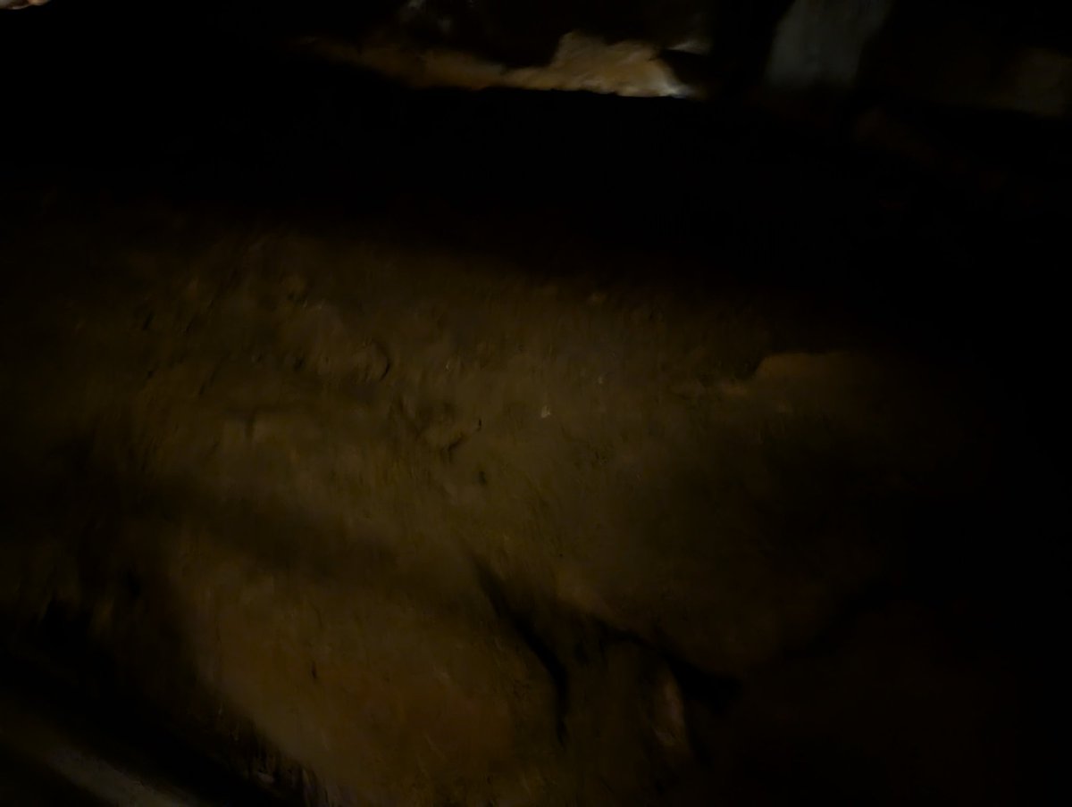 Live in cave
No bug s

No 
Pe iple
Bug peopel...
Ca ev
Good