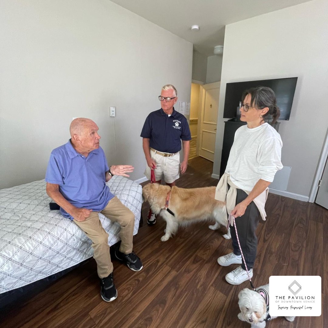 venicecenterl's tweet photo. 🐶💙 Furry Friends &amp; Warm Welcomes! Our amazing therapy dogs, Mya and Molly, brought smiles and comfort to residents today! 🐾 Judy shared some love with Mya, while new resident Richard got a special welcome from Molly. Roger also enjoyed some time with Molly and her trainer! https://t.co/gKjNwSGYLi