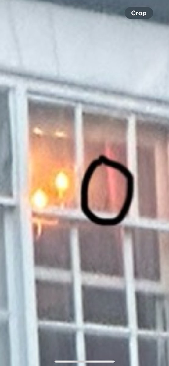 timlewis_fm 🏴󠁧󠁢󠁷󠁬󠁳󠁿 tweet media