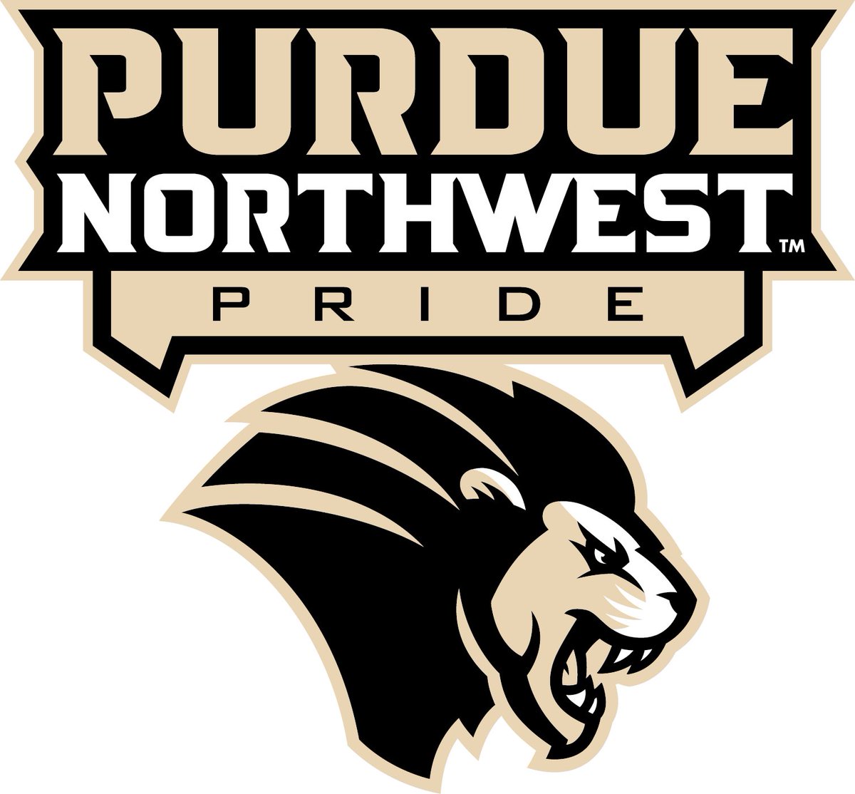 Congratulations to SO RHP Daniel Broeker on his commitment to D2 Purdue Northwest University. Dan is the ultimate teammate, great student, and presents a tough look from his 6’7 frame. We are proud of you Dan!