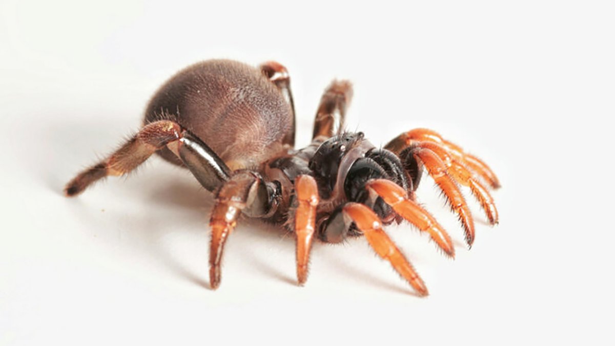 Universidad del Norte tweet media