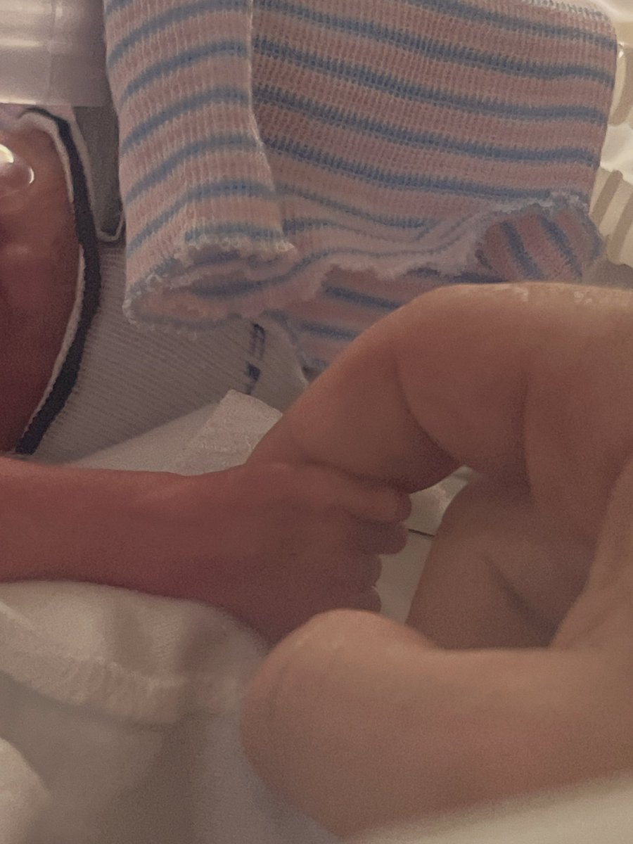 David Reeves tweet media