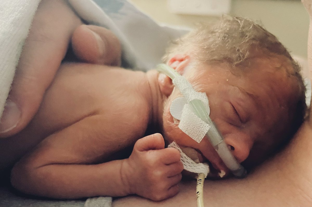 David Reeves tweet media