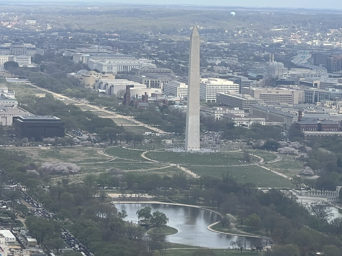 Tony Castrilli (@tonycastrilli) on Twitter photo Beautiful view of DC’s #CherryBlossoms approaching <a href="/Reagan_Airport/">Reagan Airport</a> <a href="/CherryBlossFest/">National Cherry Blossom Festival 🌸</a> <a href="/TenaciousTopper/">Topper Shutt</a> <a href="/capitalweather/">Capital Weather Gang</a> <a href="/dougkammerer/">Doug Kammerer</a> <a href="/SteveRudin7News/">Steve Rudin 7News</a> <a href="/AmericanAir/">americanair</a> Beautiful view of DC’s #CherryBlossoms approaching <a href="/Reagan_Airport/">Reagan Airport</a> <a href="/CherryBlossFest/">National Cherry Blossom Festival 🌸</a> <a href="/TenaciousTopper/">Topper Shutt</a> <a href="/capitalweather/">Capital Weather Gang</a> <a href="/dougkammerer/">Doug Kammerer</a> <a href="/SteveRudin7News/">Steve Rudin 7News</a> <a href="/AmericanAir/">americanair</a>