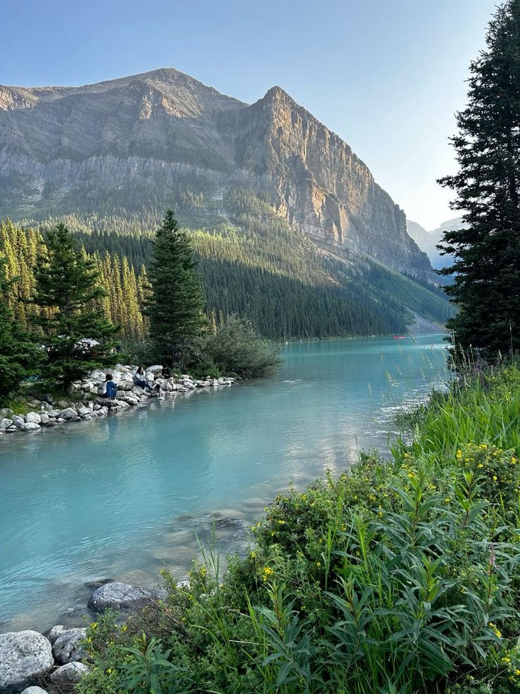 greenvibe's tweet photo. nature https://t.co/9sWE0rZePf
