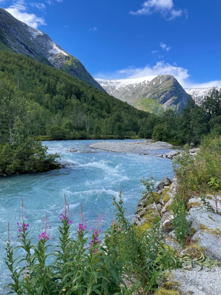 greenvibe's tweet photo. nature https://t.co/9sWE0rZePf