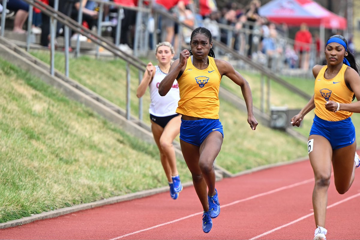 Pitt TF/XC tweet media
