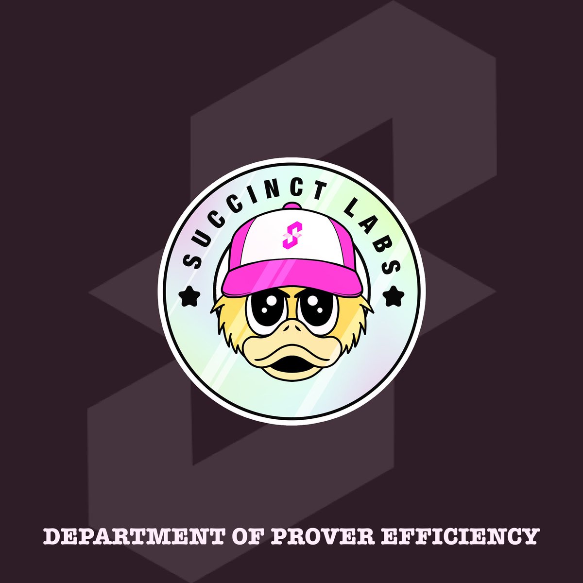 Twizy_00's tweet photo. Heard there’s a Department Of Prover Efficiency in the works @SuccinctLabs 

👮🩷

So I made these to identify the officials!
What do you think @0xCRASHOUT https://t.co/B0N5jSSxE1