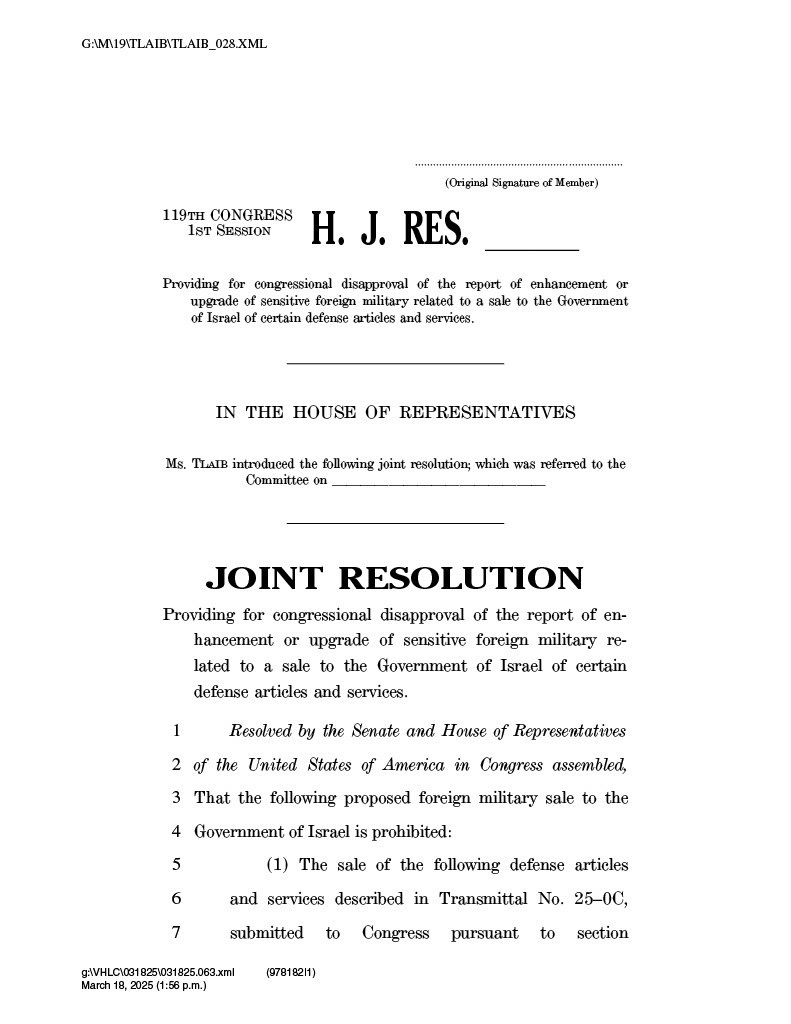 Congresswoman Rashida Tlaib tweet media