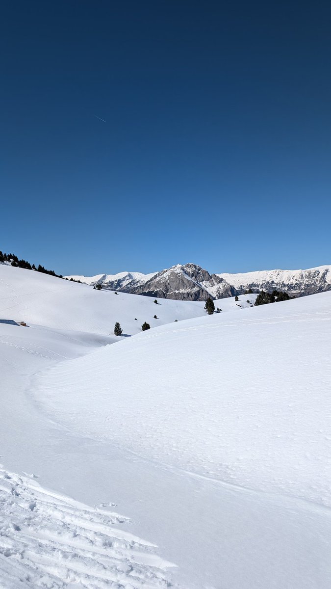 VictorFerriz's tweet image. La neu, malgrat força primavera, aguanta a La Gallina Pelada amb gruixos destacables.