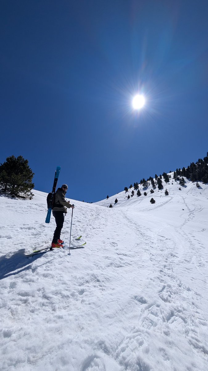 VictorFerriz's tweet image. La neu, malgrat força primavera, aguanta a La Gallina Pelada amb gruixos destacables.