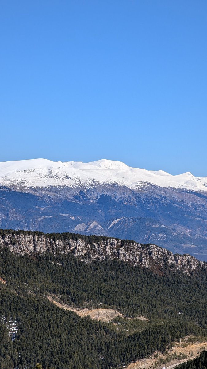 VictorFerriz's tweet image. La neu, malgrat força primavera, aguanta a La Gallina Pelada amb gruixos destacables.