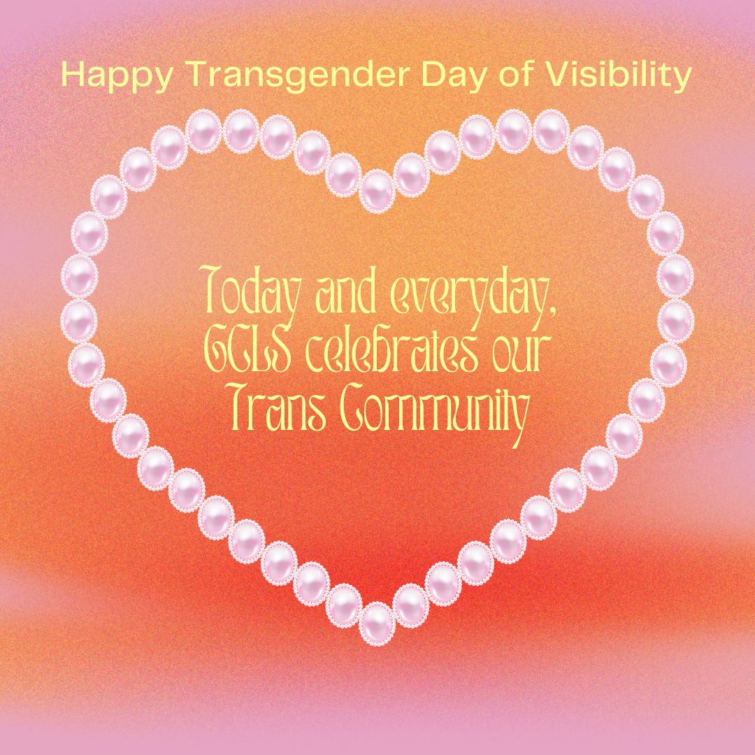 Happy Transgender Visibility Day 🏳️‍⚧️💖