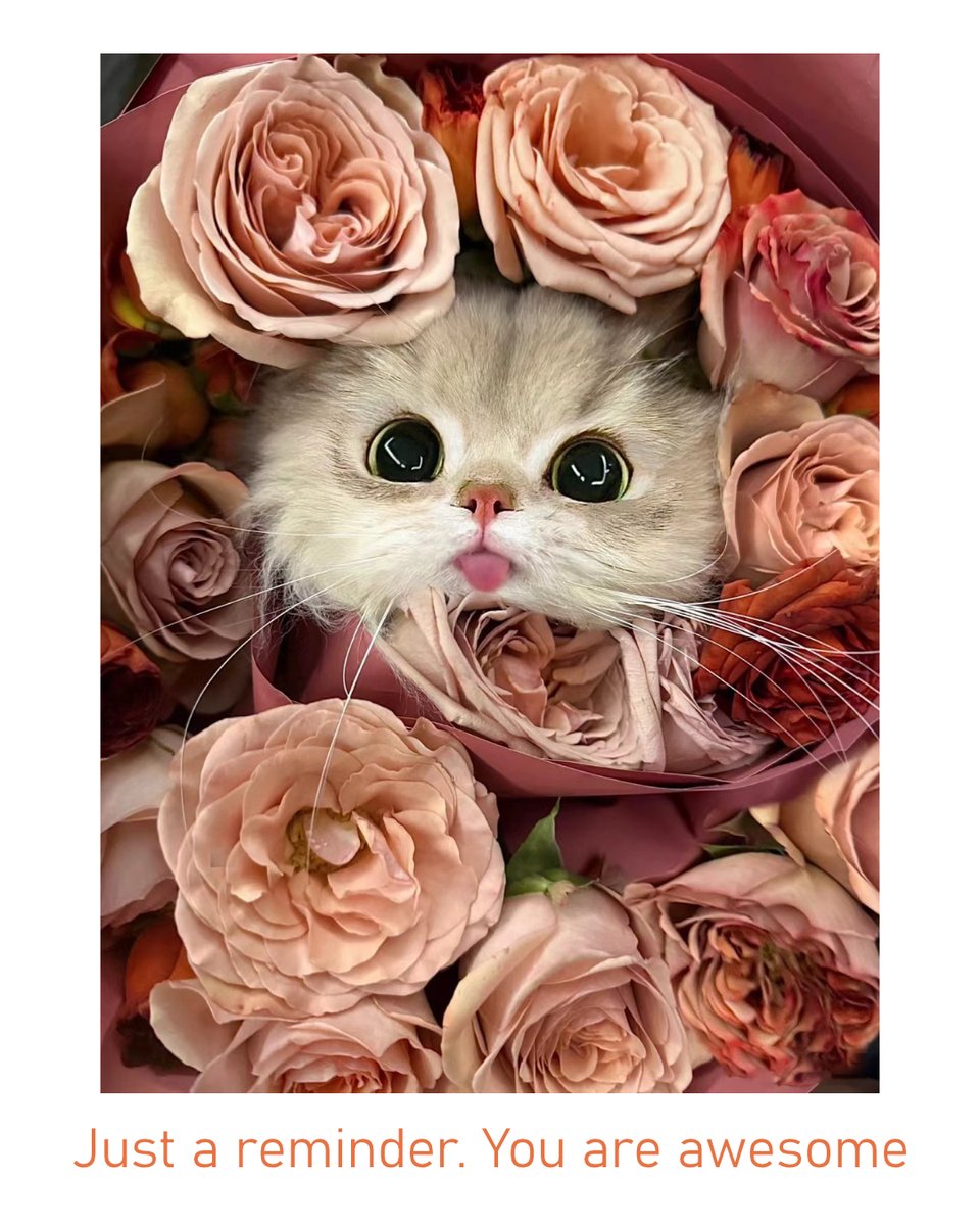 Life can be so hectic and we are often under appreciated. so here is a reminder. You are awesome.

#cutekitten #cutekittens #funnycat #funnykittens