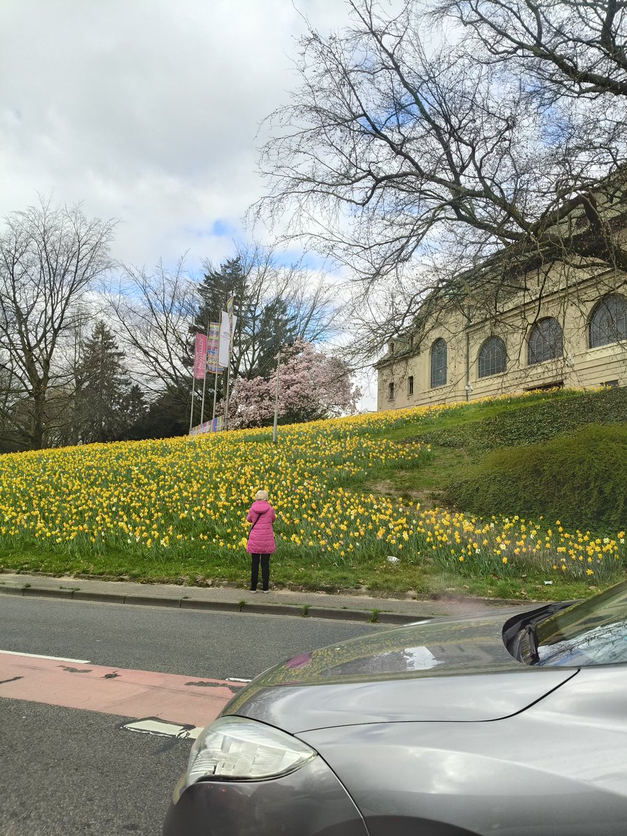 คิดถึงประเทศไทย