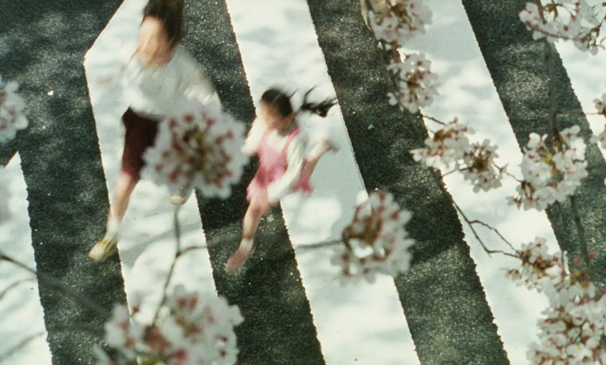 domesticmothman's tweet image. Nobody Knows (2004)