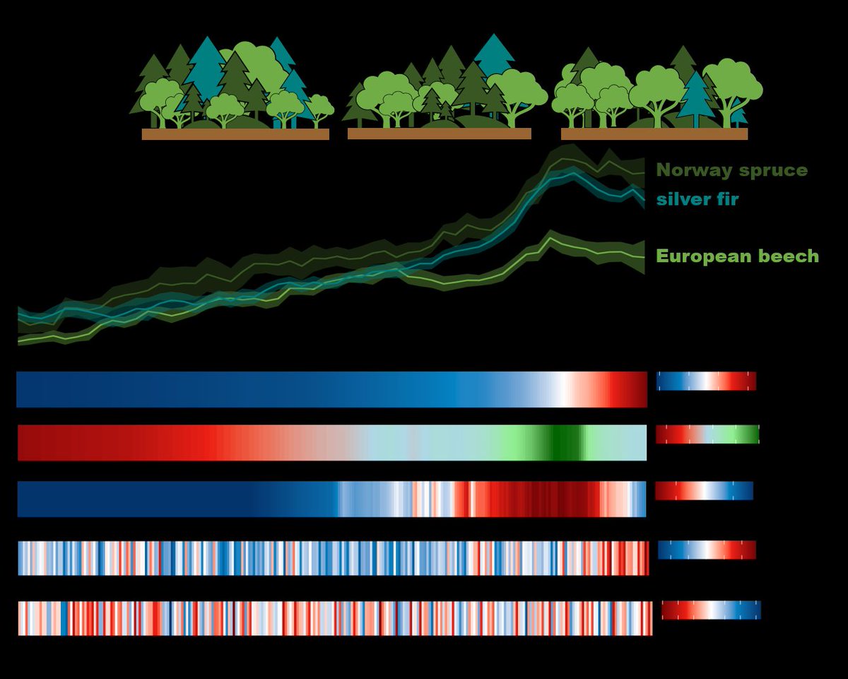 Growth and Assemblage Dynamics of Temperate Forest Tree Species Match Physiological Resilience to Changes in Atmospheric Chemistry 

buff.ly/KncbMDn
