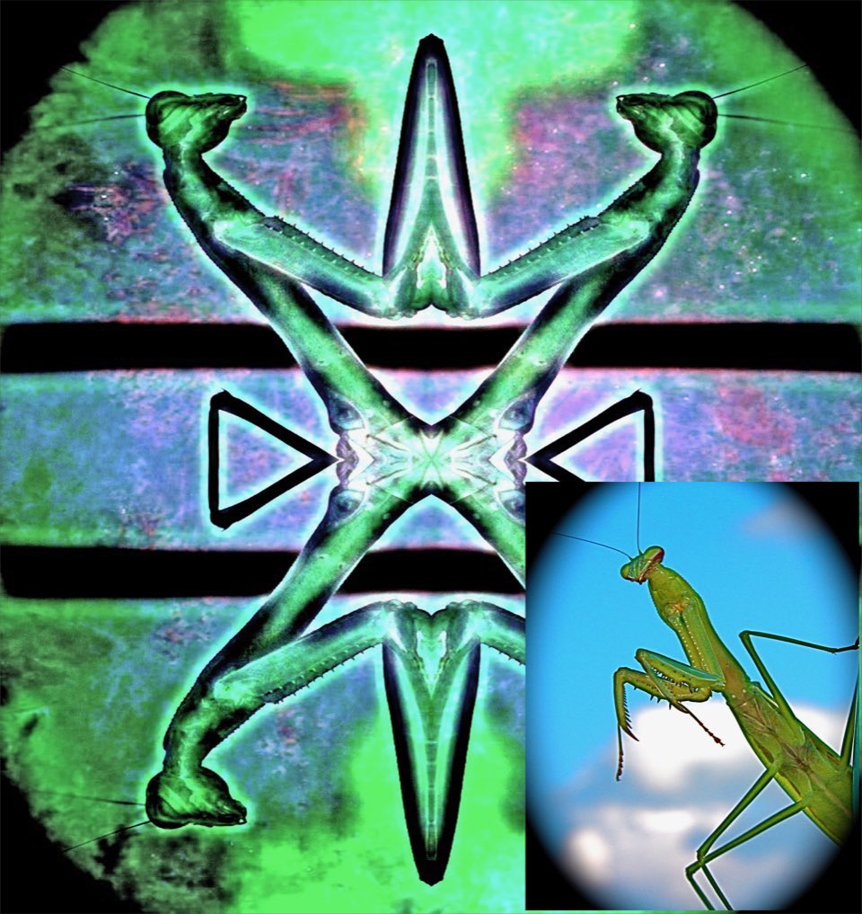 SuniH (@lynn2475) on Twitter photo 