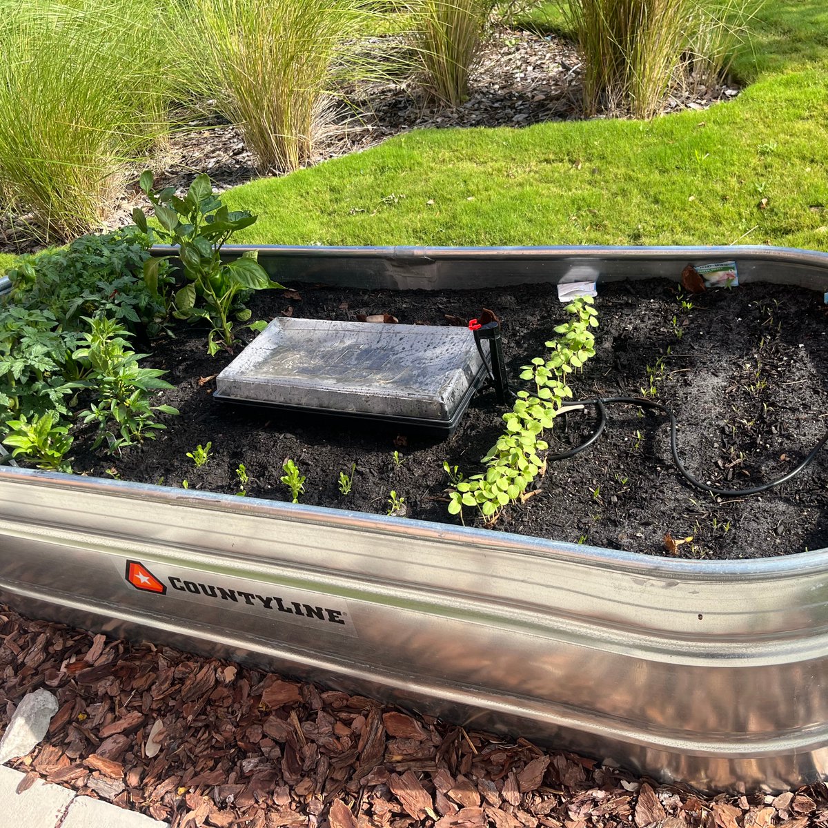 Lakeland Regional Health GME tweet media